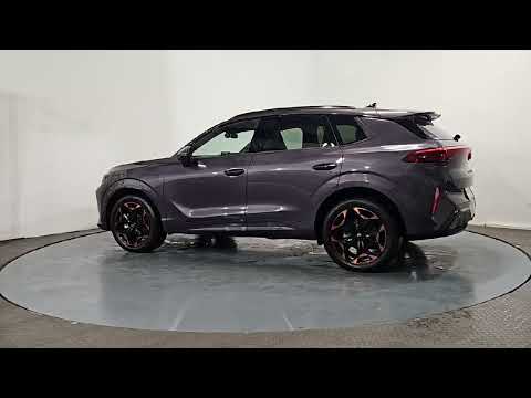 Cupra Terramar TERRAMAR EHYBRID 204HP DSG - Image 2