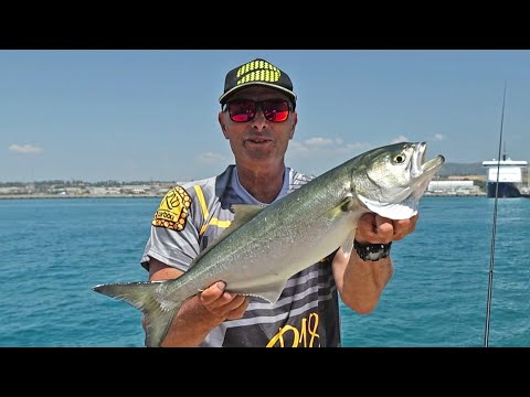 Marco Volpi and the Super Bolognese (Tubertini)