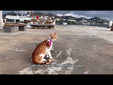 CAPTAIN FRED Ep. 5 - Mission to Win the Sailing Race