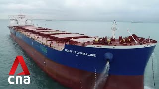 World's first LNG bulk carrier docks at Singapore's Jurong Port to refuel