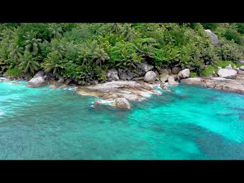 Tropical Beach Sounds l 1 Hour Relaxing Waves Crashing on Pebble Beach Shore