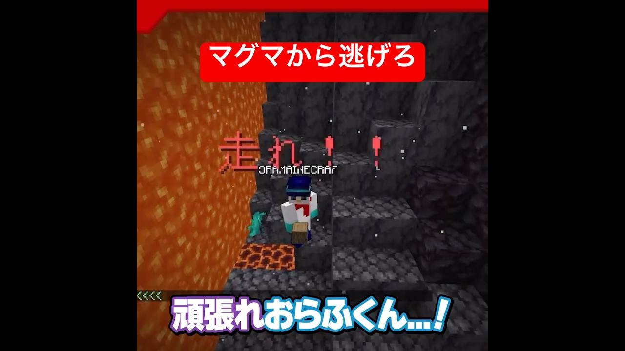 ふたり合わせて100点ブラザーズ！ #ドズル社 #ドズル社切り抜き #shorts  @dozle