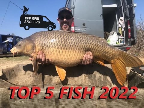 BIGGEST FISH. RIVER EBRO FISHING. SPAIN.