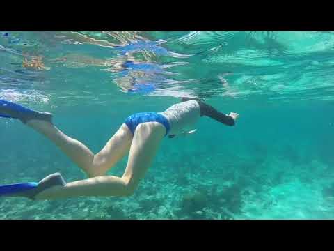 Barrier Reef Snorkeling, Belize 2018