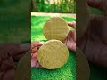 Coconut Shell Awsome Hacks Shorts