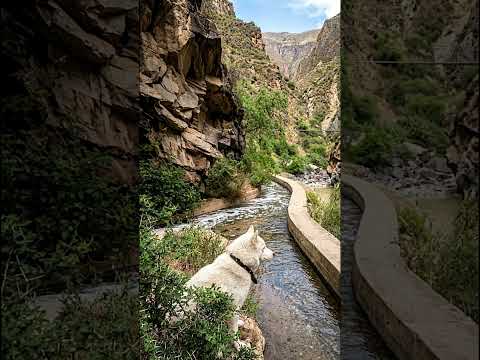 ¿MISTERIO BAJO EL PUENTE DE SAN JACINTO NORTE? 🔍.