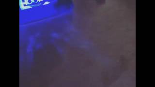 MERT - BOXERSCHNITT FLAVOUR