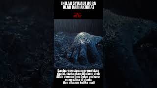 Download lagu PENAMPAKAN ular akurat SYUJAUL AQRA mp3 Download lagu PENAMPAKAN ular akurat SYUJAUL AQRA mp3