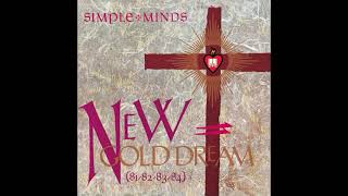 SIMPLE MINDS - Colours Fly And Catherine Wheel (Version RB)