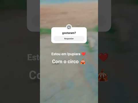 Ipupiara-BA #aveeplayerlegend #helpmemakethismakesense #cat