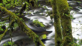 Pink Mountaintops - I (Fuck) Mountains