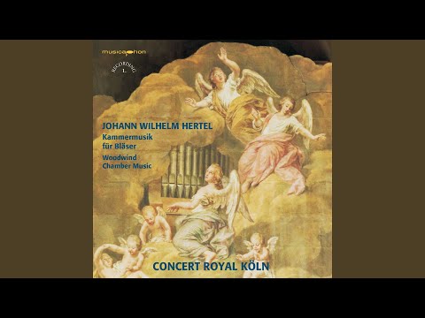 Concerto a cinque: I. Allegro