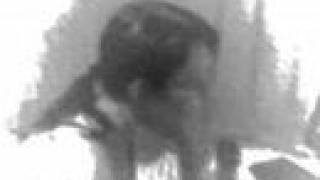 blood is blood nerina pallot - cover