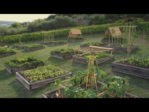 Rachael's GORGEOUS Italy Garden Tour With Farmer Lee Jones