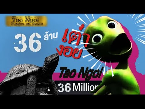 เต่างอย - จินตหรา พูนลาภ Jintara Poonlarp Tao Ngoi Video