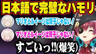 長文の日本語で完璧なハモリを魅せるフワモコに爆笑する船長w【ホロライブ 切り抜き/宝鐘マリン/フワワ・アビスガード/モココ・アビスガード/ネリッサ・レイヴンクロフト/日本語翻訳】