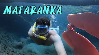 Hunting Gemstones, Northern Territory GOLD, Mataranka thermal springs