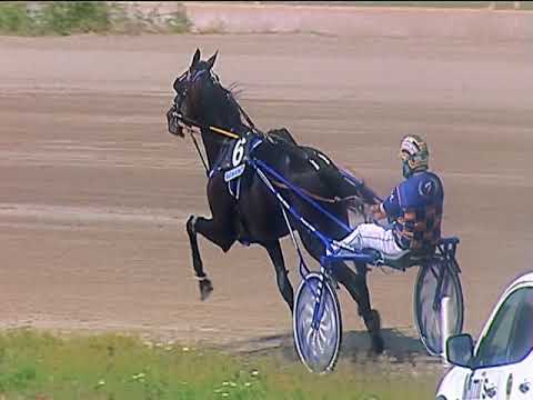 Trotto 04/06/2019 - 4ª corsa