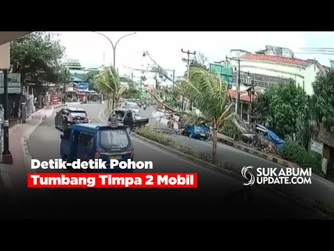 Detik-detik Pohon Tumbang Timpa 2 Mobil