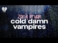 zach bryan - cold damn vampires (lyrics)