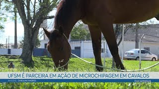 Miniatura do vídeo