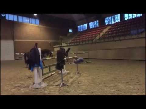 Pacino - trening 23.02.2017