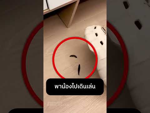 พาน้องไปเดินเล่น