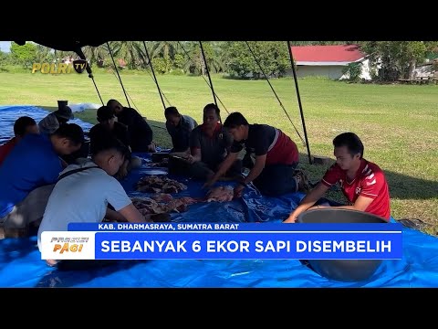 POLRES DHARMASRAYA &amp; POLDA SUMBAR SEMBELIH 6 EKOR SAPI PADA IDULADHA 1446H