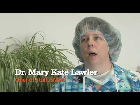 San Antonio Community Cat Program