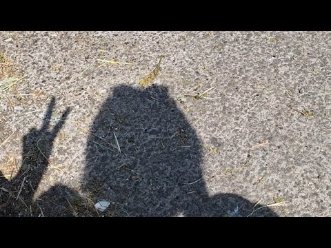 a day in the life! 29-05-23 vlog #2