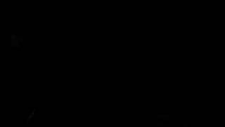 The Pietasters Boat Cruise-New Breed