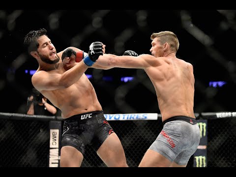 Stephen Thompson vs Jorge Masvidal - UFC 217: Welterweight Bout: HD Highlights