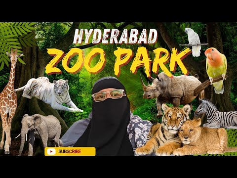 Hyderabad Zoo Park | Nehru Zoological park | Full Zoo Vlog Experience.