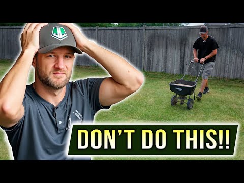 4 Mistakes Beginners make when SPRING OVERSEEDING!