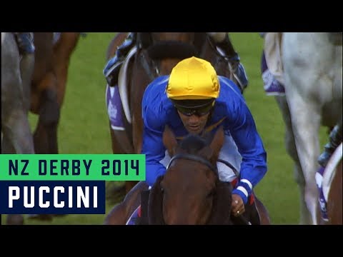 2014 NZ Derby - Replay
