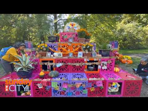 VIDEO: Día de los Muertos Celebration Brings Color, Culture and Remembrance