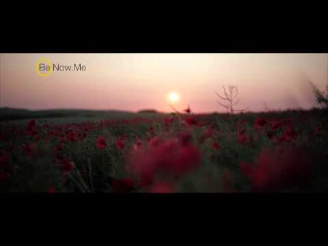 Dissolving Fear And Anxiety - Introduction