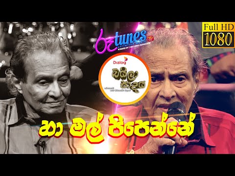 Ha Mal Pipenne | හා මල් පිපෙන්නේ | Christoper Paul | Baila Sadaya | @RooTunes