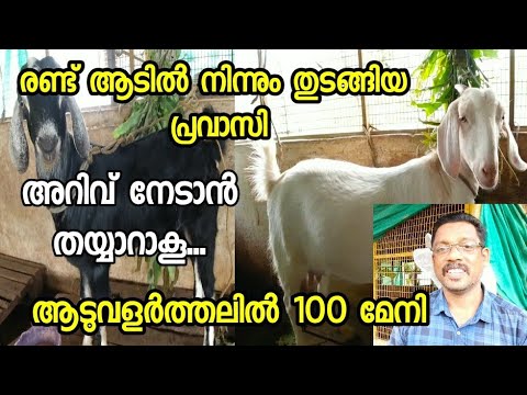, title : 'ആട് വളർത്തൽ | മലബാറി ആടുകൾ | Goat Farming Tips Kerala | Aadu Valarthal Krishi Malayalam | Goat Farm'