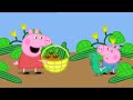 Peppa Pig Season 1 Episodes 37 Lunch Cartoon For Kids 2018