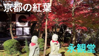 紅葉の名所！京都の永観堂