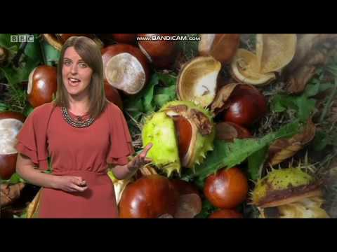 Alex Osbourne BBC south news evening weather - 10-06-2018 - 60 FPS