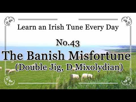 043 The Banish Misfortune (Double Jig, D Mixolydian) Learn an Irish Tune Every Day.