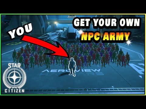 How to Get Your Own NPC Crew - STAR CITIZEN