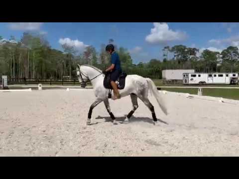 SOLD! Sons of the Wind Presents Jerico HI.