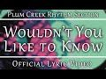 Plum Creek Rhythm Section - Wouldn't You Like ...