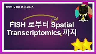 형광제자리부합법이 최신 공간전사체 기술로 발전하다