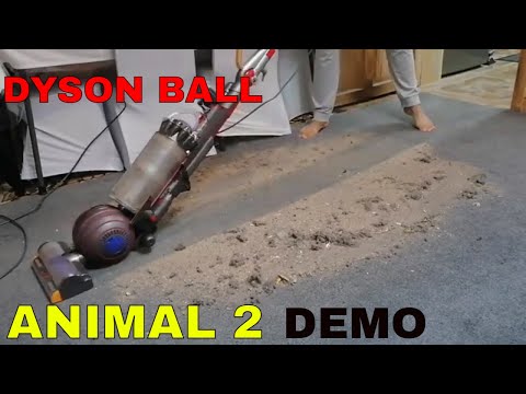 DYSON BALL ANIMAL 2  VACUUM CLEANER UP24 - FIRST LOOK, DEMONSTRATION AND TESTING