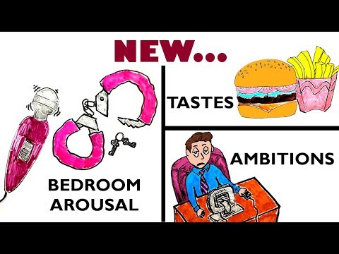 Why is NOVELTY so Important in Life? | Coolidge Effect