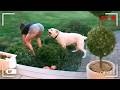 Best Fails of the Month 😂 Try Not to Laugh Challenge DEFAULT Thumbnail